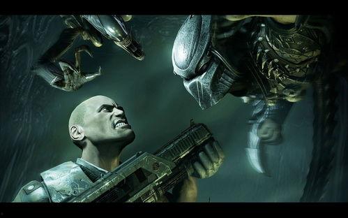 异形大战铁血战士在线观看,星际对决，谁主沉浮？  第3张